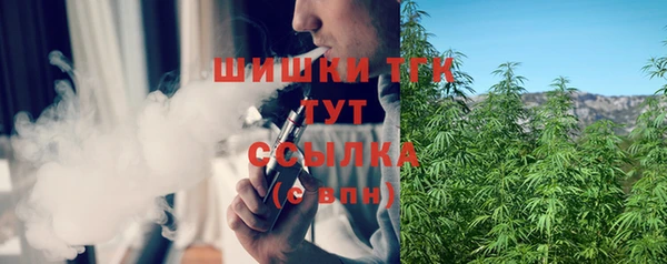 дмт Арсеньев