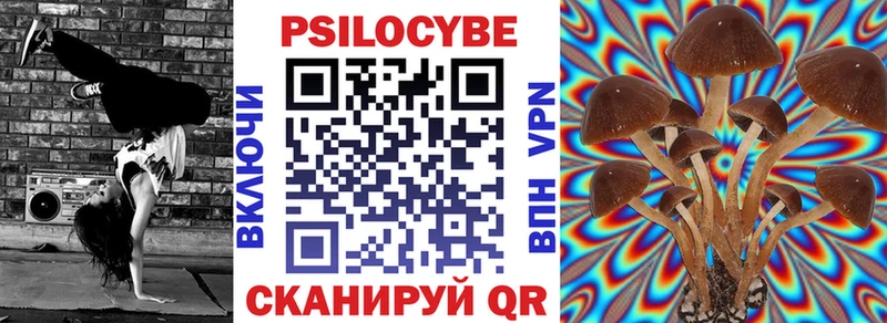 наркошоп  ОМГ ОМГ ссылка  Галлюциногенные грибы MAGIC MUSHROOMS  Судогда 